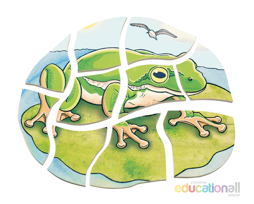 Multilayer Puzzle - Life Courses - Frog