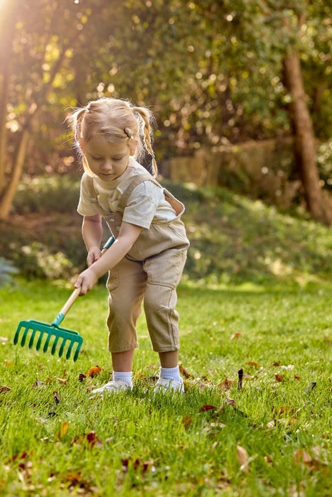 Kids Rake