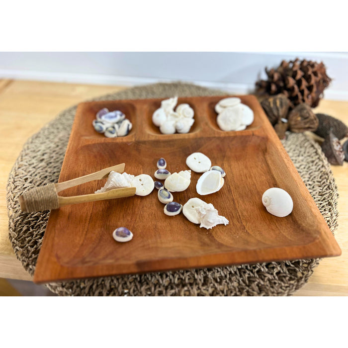 Sorting Tray, 4 Compartments