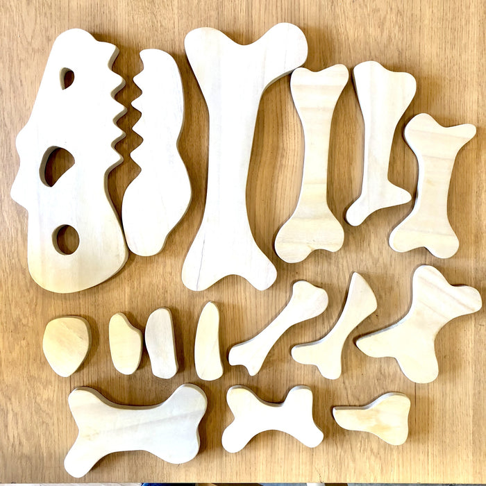 Burying Dino Bones Set of 16