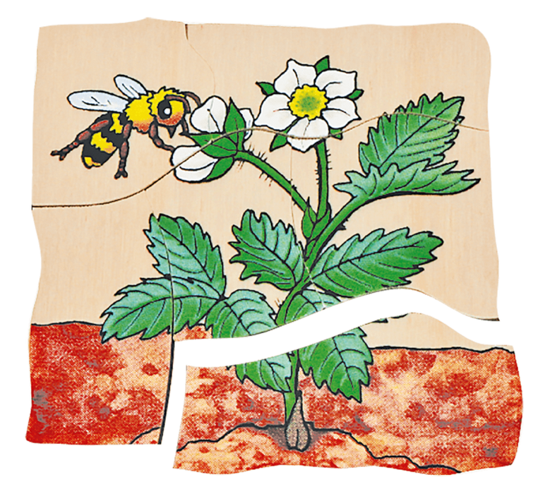 Multilayer Puzzles - Strawberry