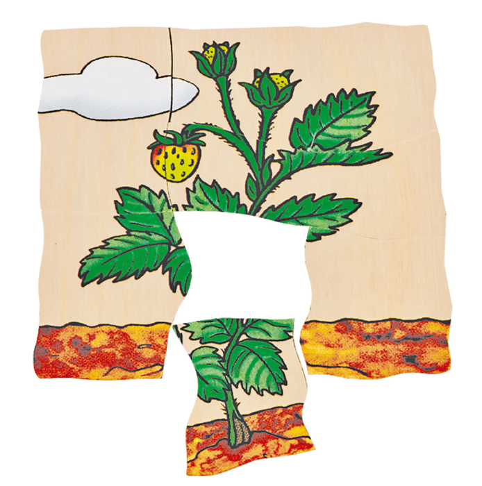 Multilayer Puzzles - Strawberry