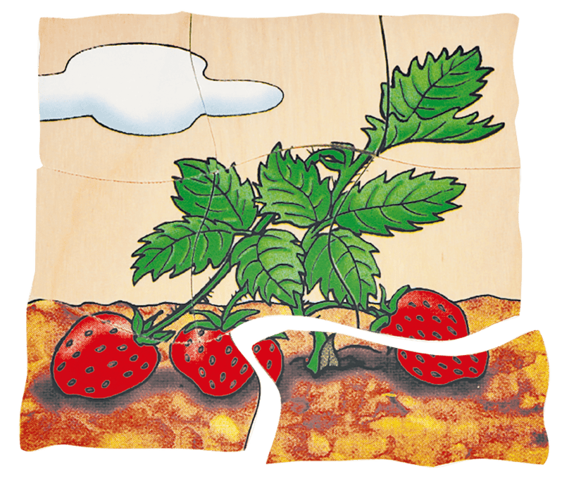 Multilayer Puzzles - Strawberry
