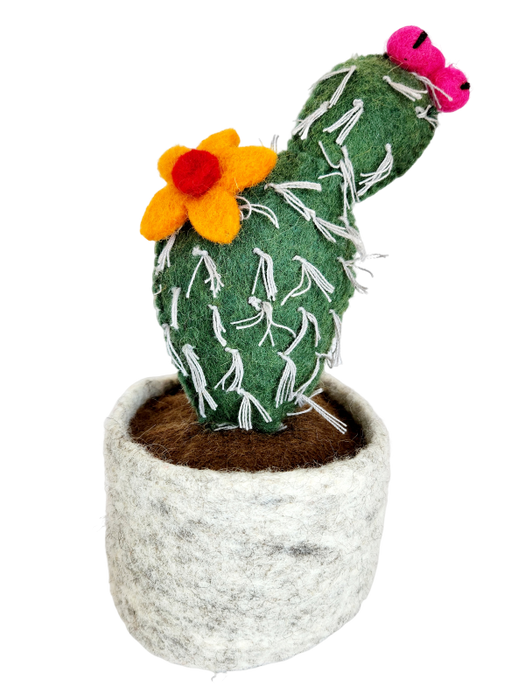 Felt Cactus Flowered