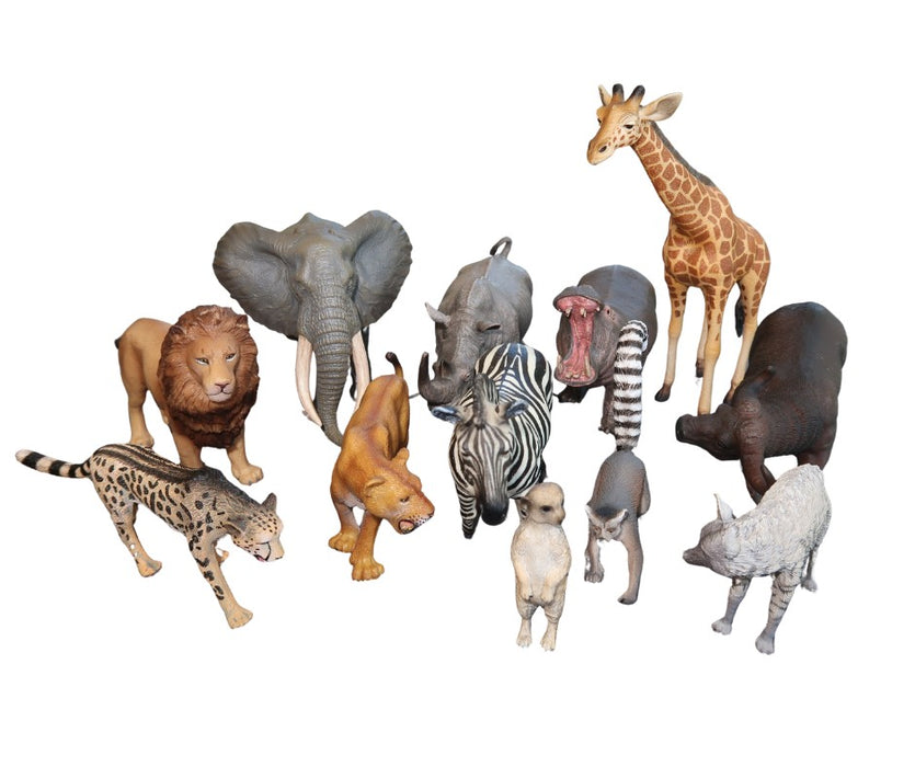 African Animals Set of 12