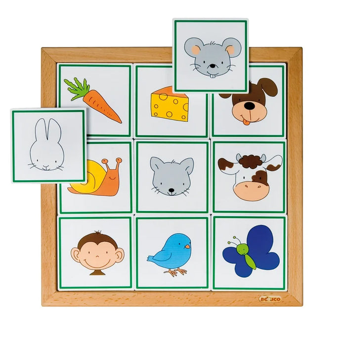 Sorting Animals - What do they eat?