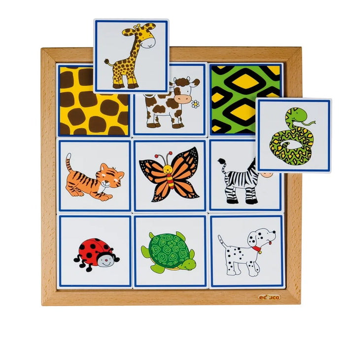 Sorting Animals - What do they wear?