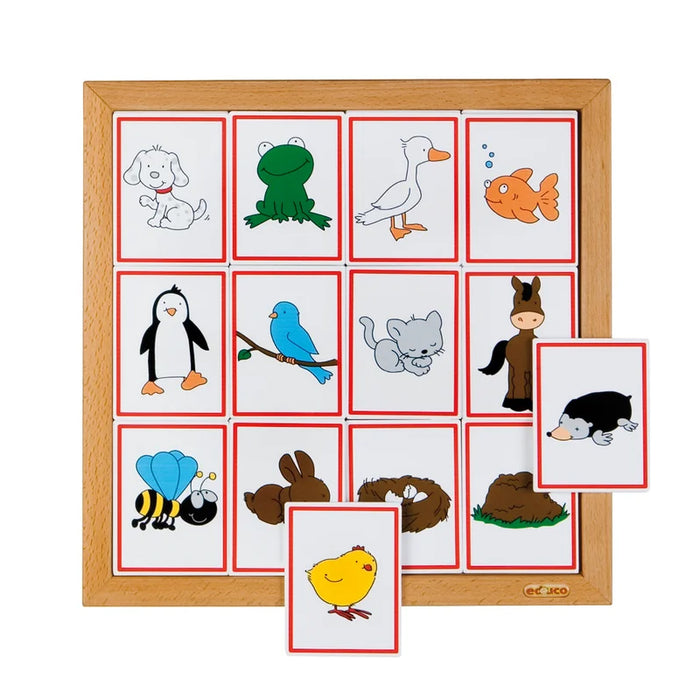 Sorting Animals - Where do they live?