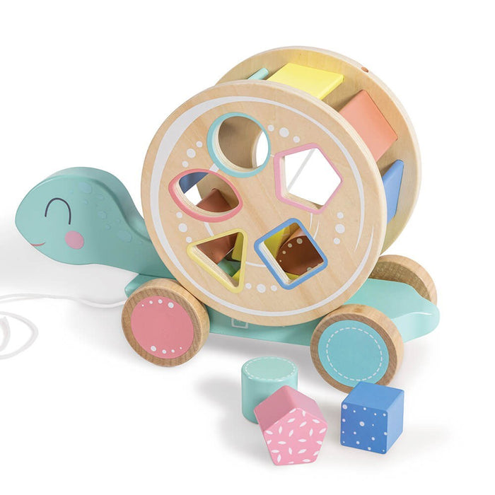 Walk -A-Long  Turtle Shape Sorter