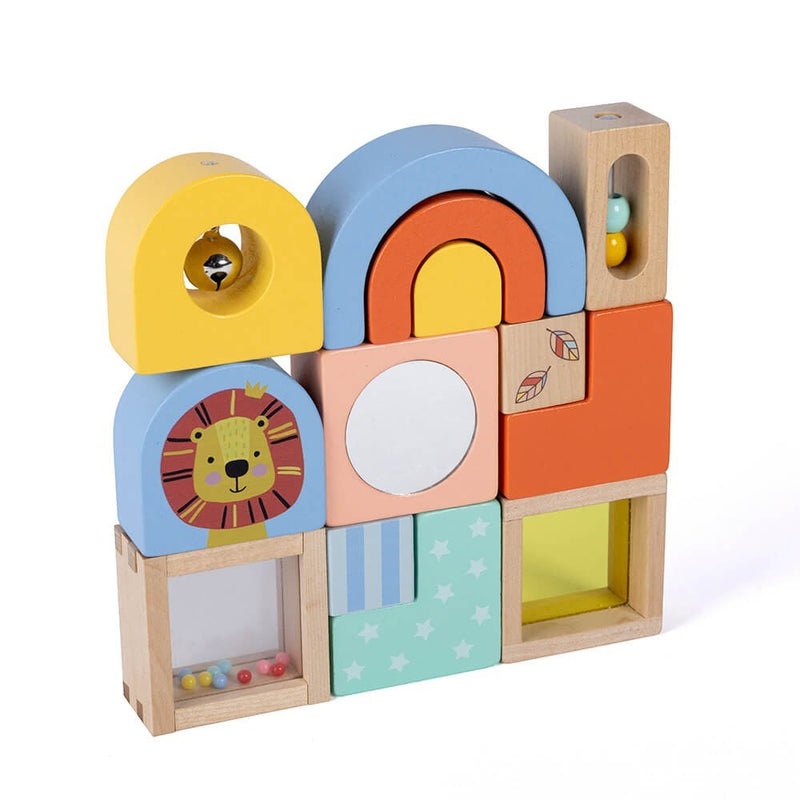 Wild Sensory Blocks 13pc