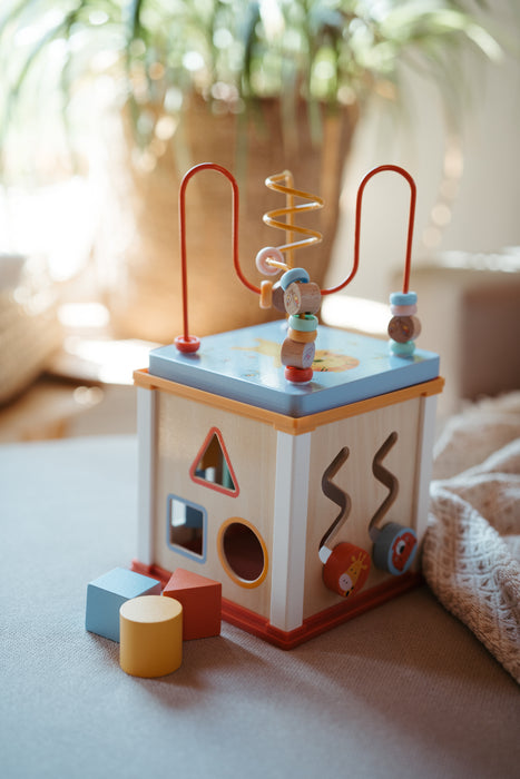 Activity Little Cube E691833316