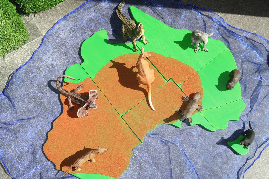 Australian Animal Play Scene