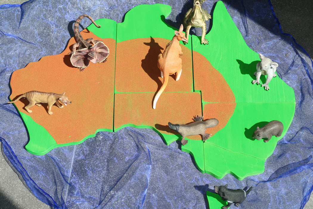 Australian Animal Play Scene