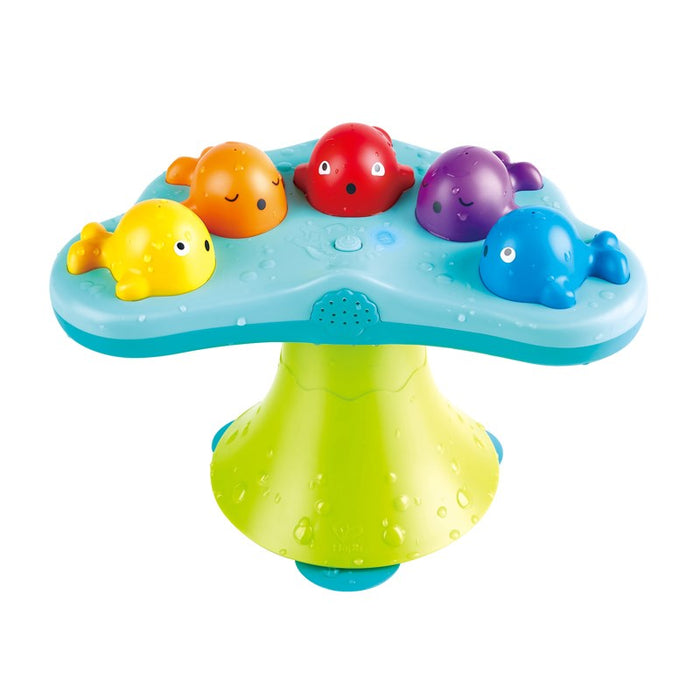 Musical Whale Fountain