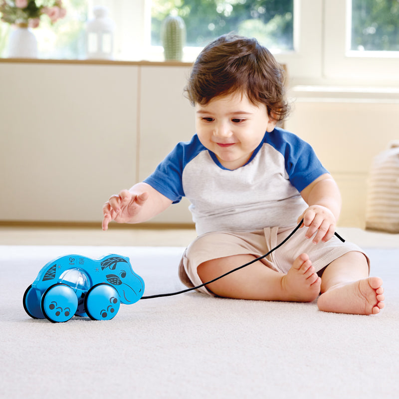 William Pull-Along Toy