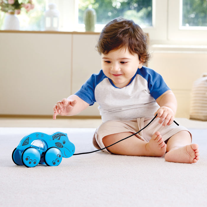 William Pull-Along Toy