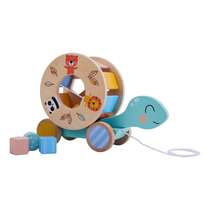 Wild Walk Along Turtle