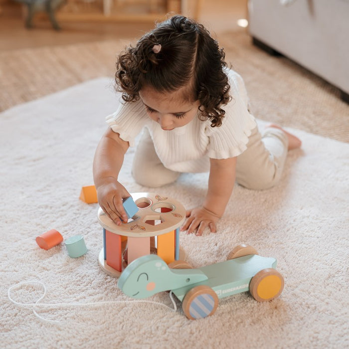 Wild Walk Along Turtle