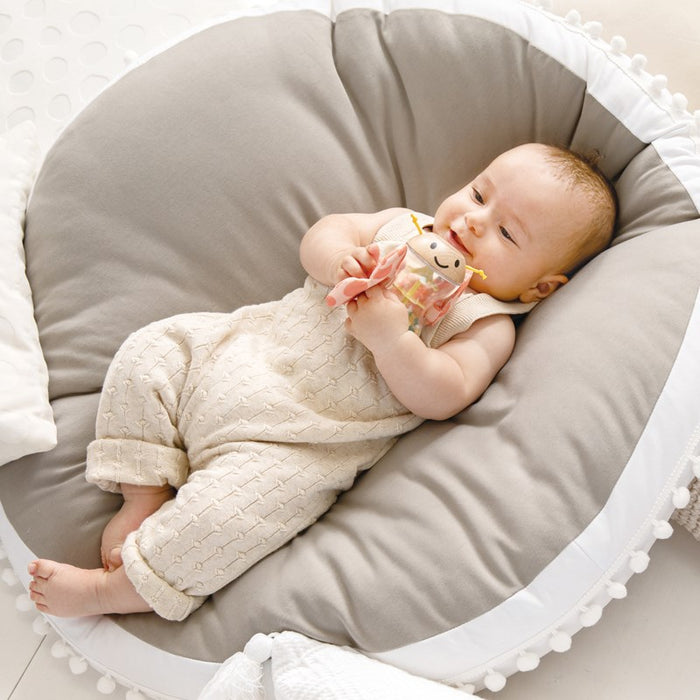 Butterfly Rainmaker Robert