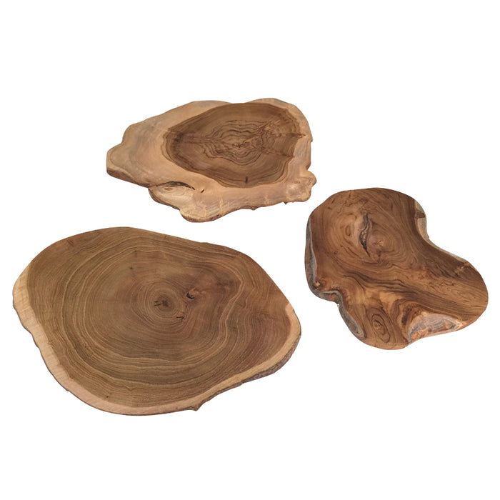 Wood Scape Slices Set of 3