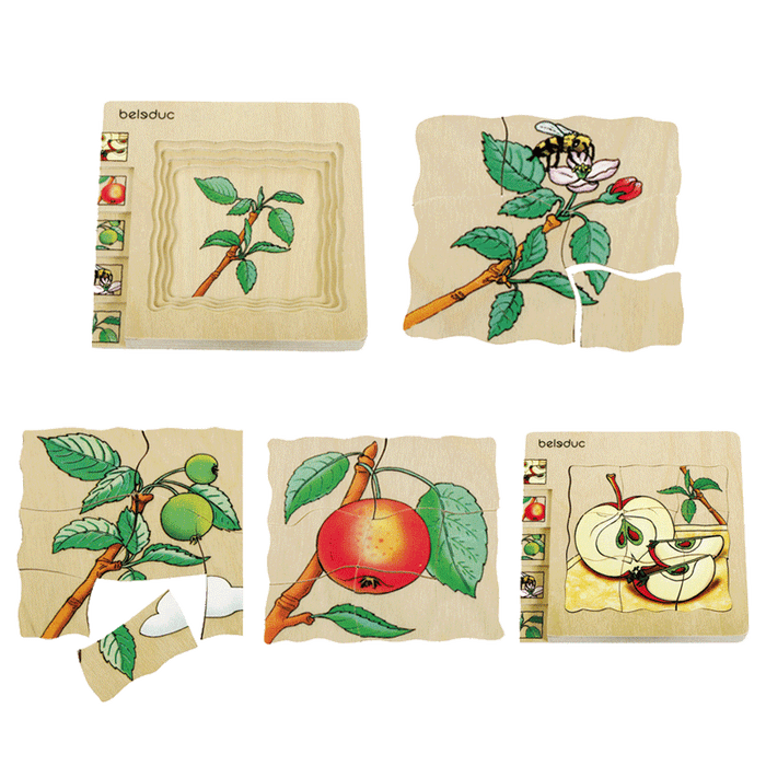 Multilayer Puzzle - Apple — EducationAll Australia