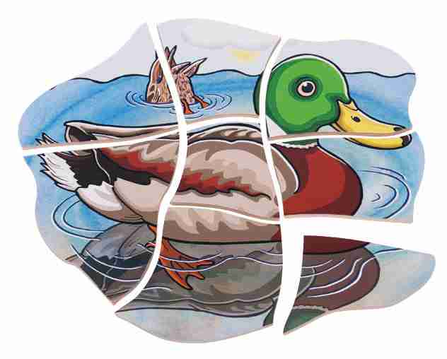 Multilayer Puzzle - Life Courses - Duck