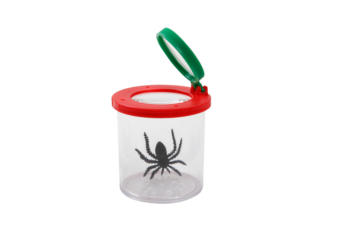 Insect Box — EducationAll Australia