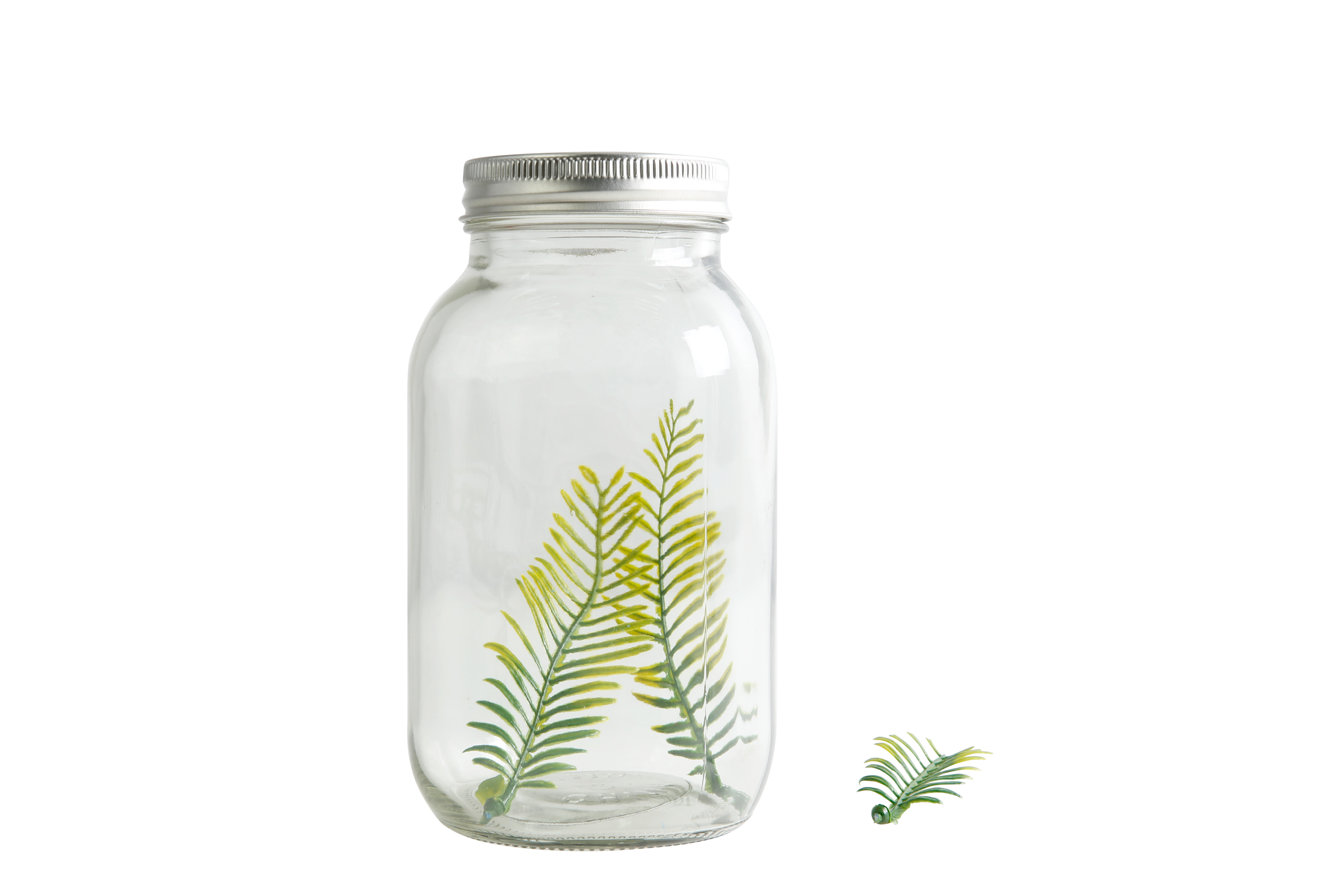 Glass Jars — EducationAll Australia