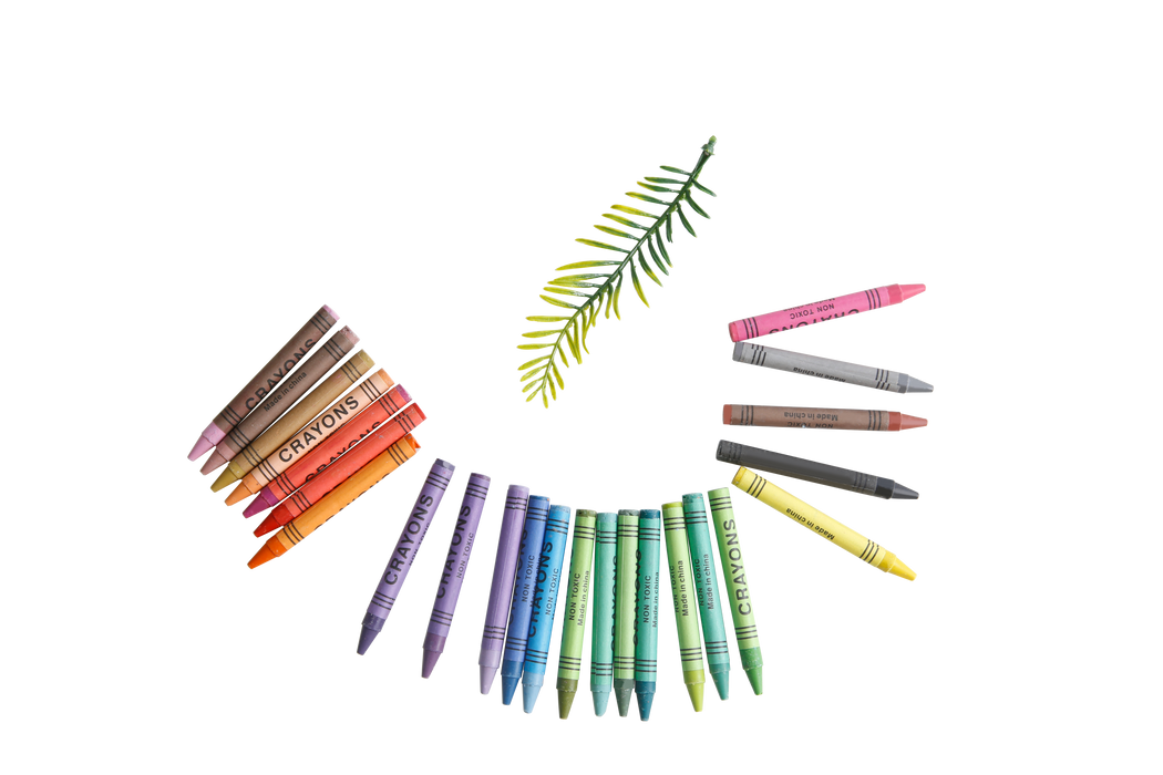 Crayons - Pack of 40
