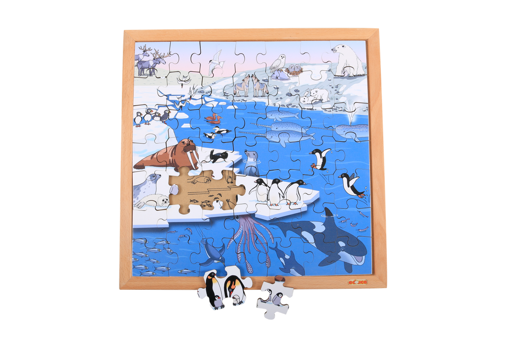 Vocabulary Puzzle - Polar Areas